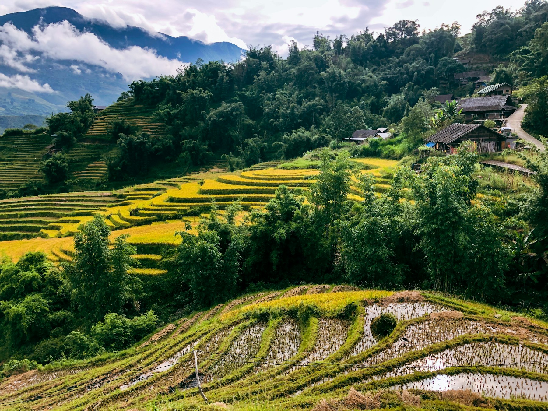 Một ngôi nhà nhỏ giữa ruộng bậc thang xanh Sa Pa